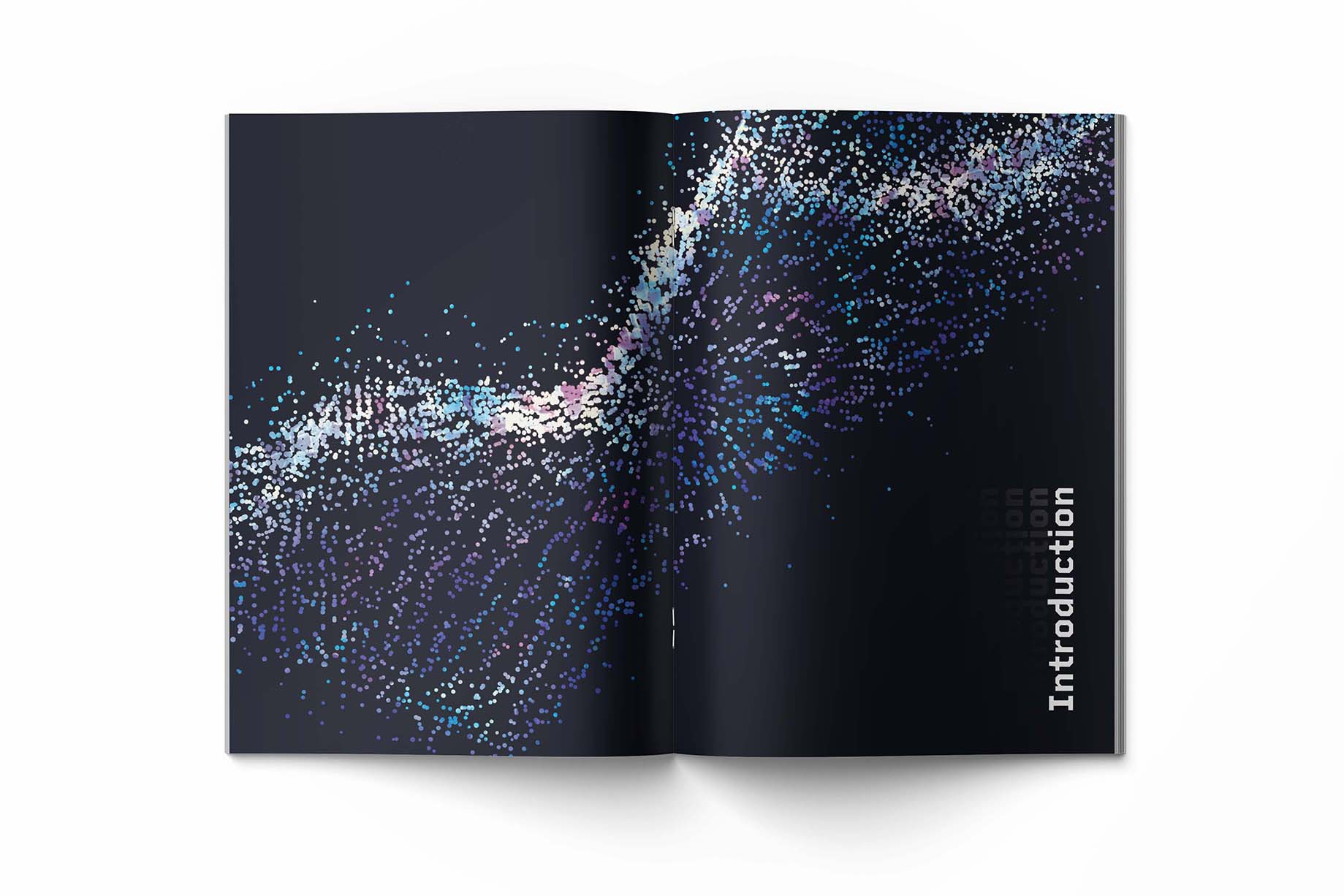 Introduction Divider Page