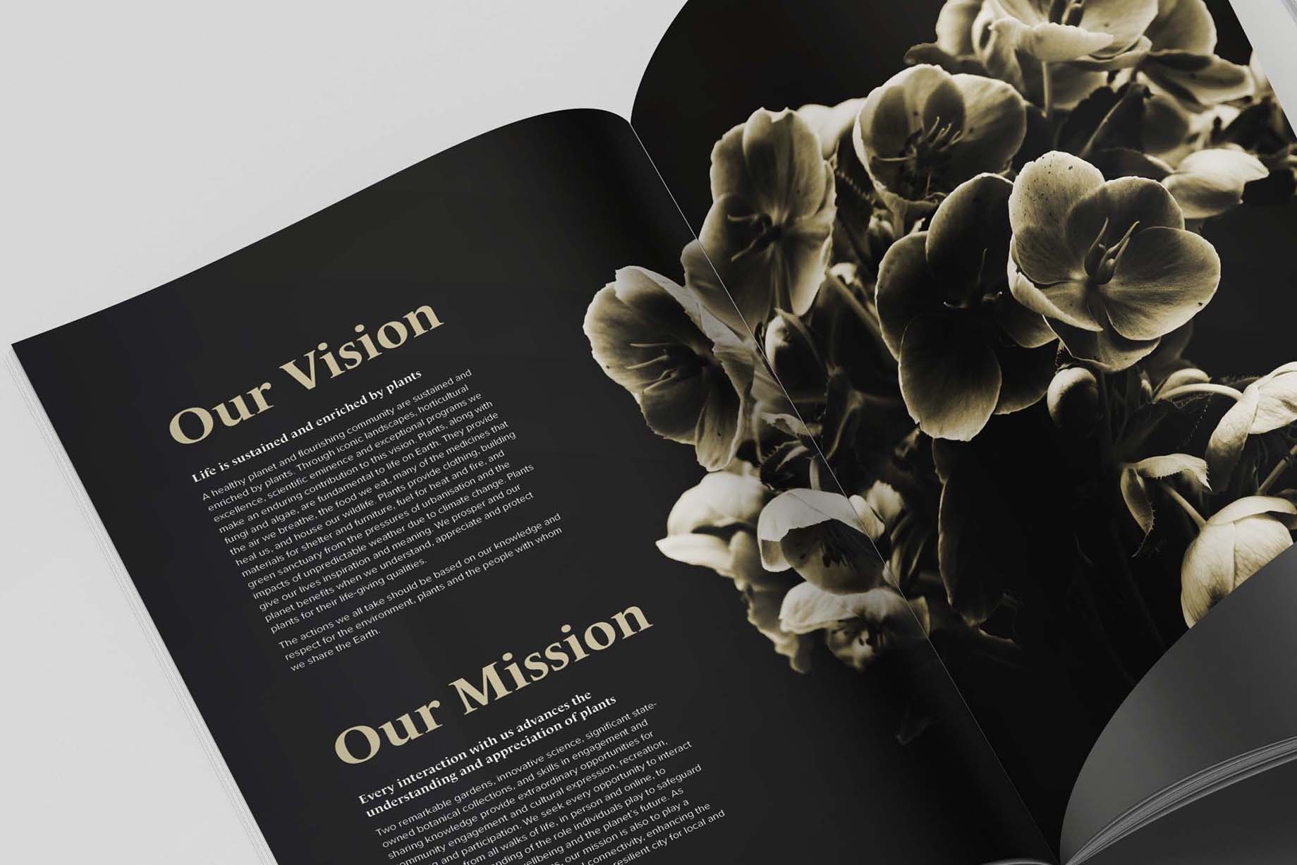 Our Vision